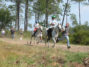 Animation Datila et Sangho limousian