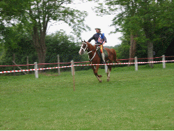 Farhoz de paute et Céline Schwartz . (animation Gif , chargement en cours)