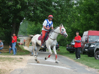Gerzew d'autan et Jean Noel Lafaure au départ de la 4ème étape.(animation Gif, chargement en cours)