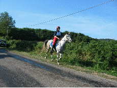 Animation Gif Captivator