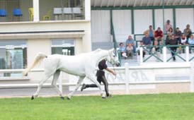 Controle initial Marouska et Vincent Dupont